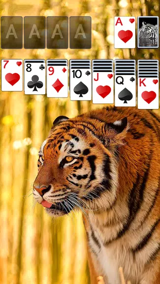 Solitaire Tiger Theme應用截圖第0張