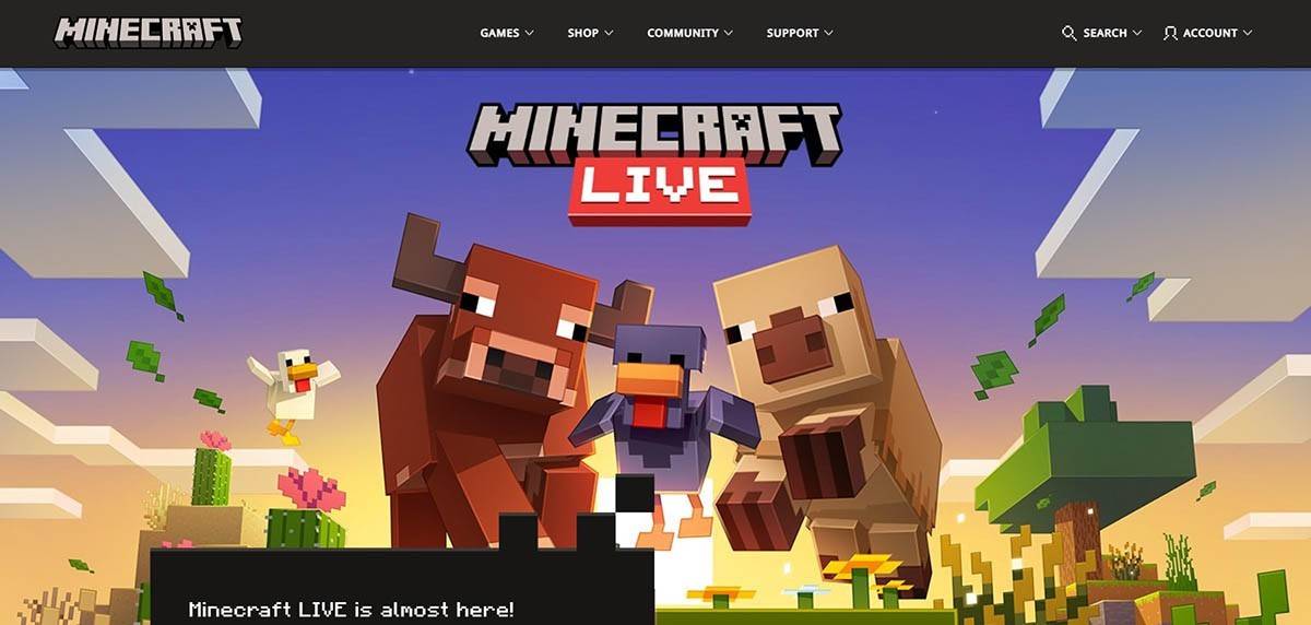 Setting Up Your Minecraft Account