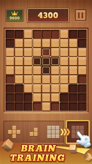 Wood Block 99 - Sudoku Puzzle Screenshot 1