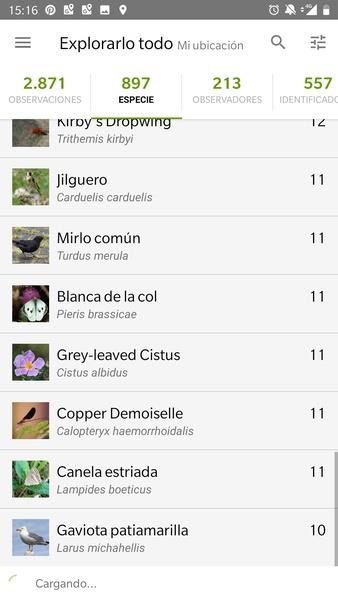 iNaturalist Screenshot 0