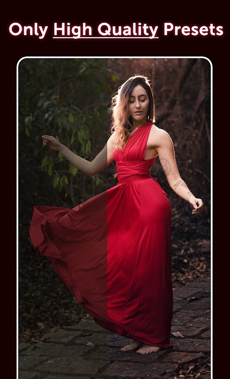 Preset: Lightroom Presets Mod Ảnh chụp màn hình 2