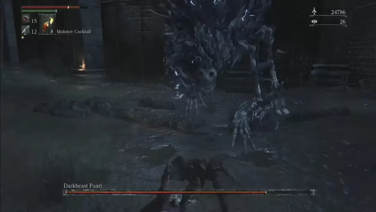 Paarl Darkbeast Paarl