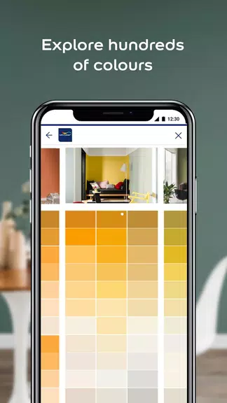 Dulux Visualizer ZA Zrzut ekranu 1