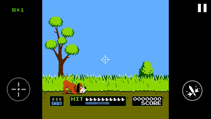 Schermata Duck Hunt 3