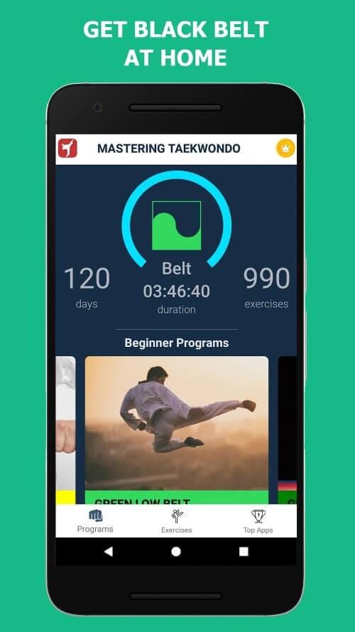 Mastering Taekwondo at Home ဖန်သားပြင်ဓာတ်ပုံ 2