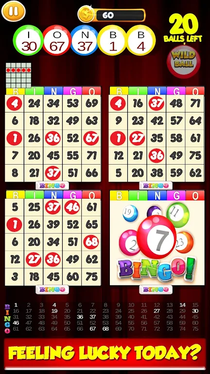 Schermata New Bingo Cards Game Free 0