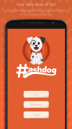 Schermata Hashdog - Dog's social network 0