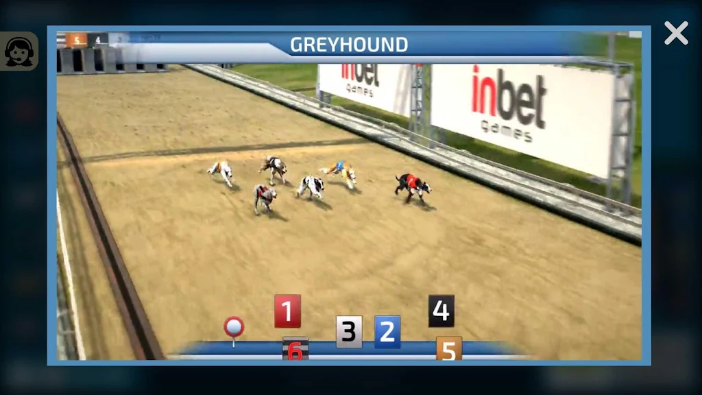 Dogs3D Races Betting應用截圖第2張