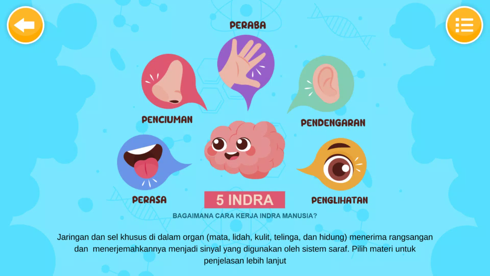 Schermata Sistem Indra Manusia 1