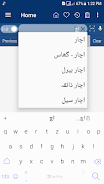 English Urdu Dictionary Скриншот 3