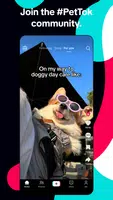 TikTok: Videos, Lives & Musik Captura de tela 3