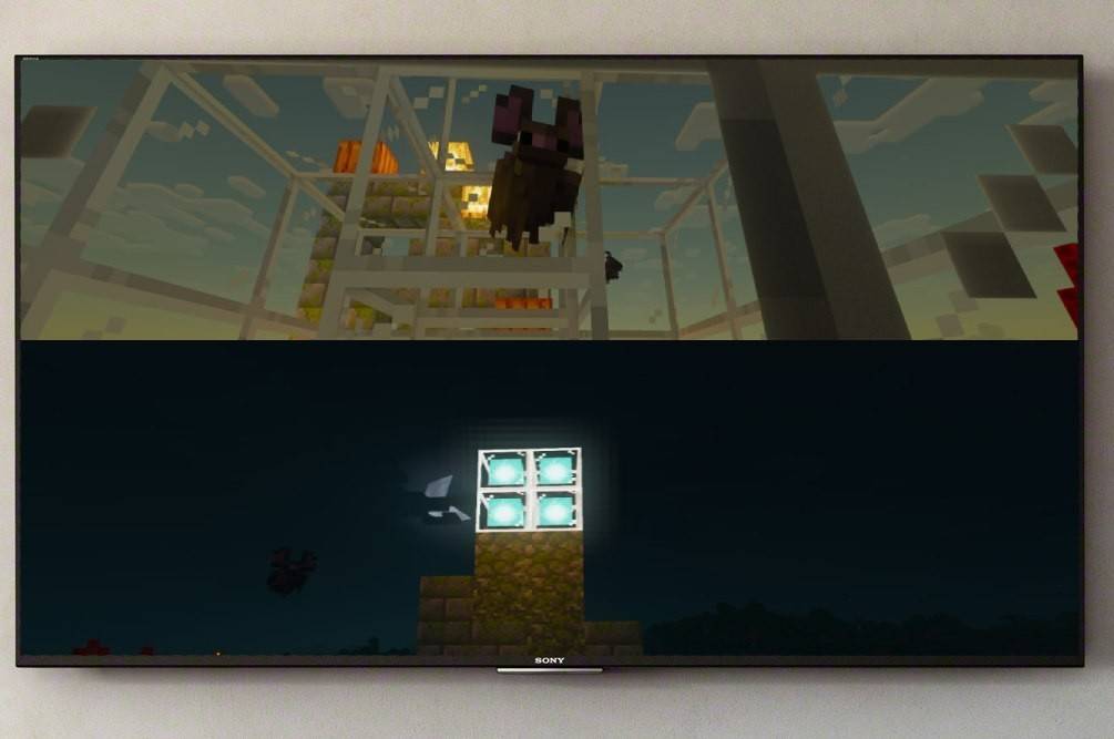 Splitscreen Minecraft