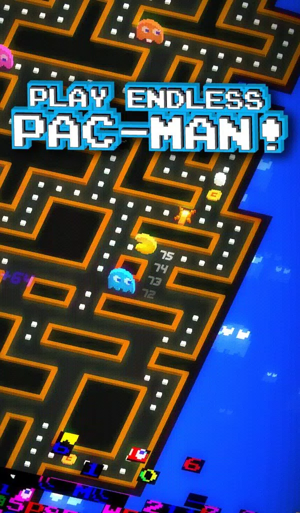 Schermata PAC-MAN 256 0