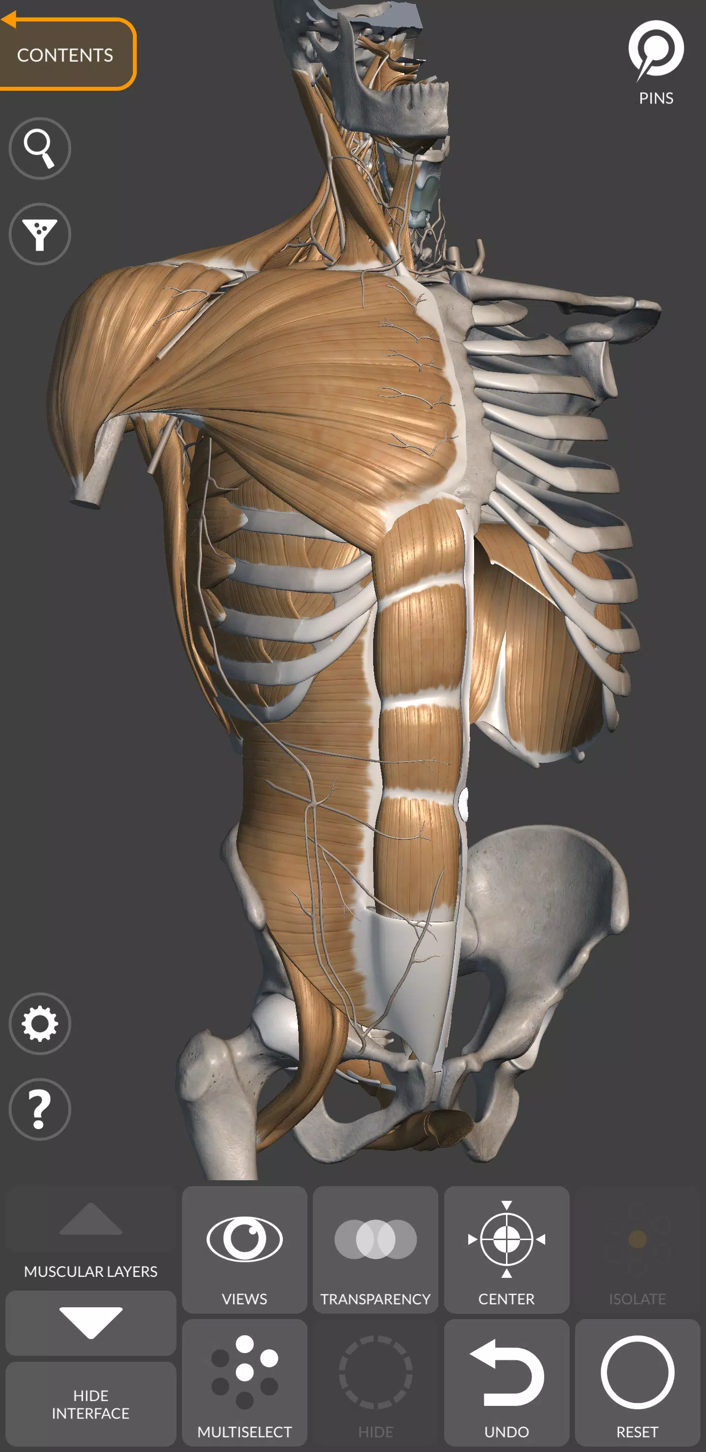 3D-Anatomie für den Künstler Screenshot 1