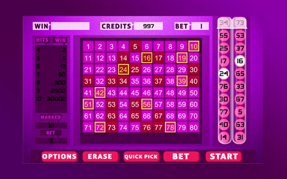 Keno Bingo Ekran Görüntüsü 3