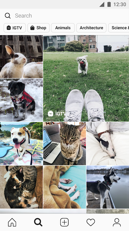 Schermata GB Instagram Mod 3