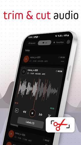 Voice Recorder Pro - VoiceX ภาพหน้าจอ 1