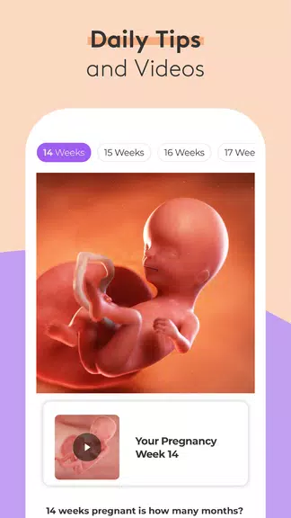 Pregnancy Tracker & Baby App ဖန်သားပြင်ဓာတ်ပုံ 1