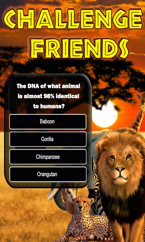 Animals Quiz Screenshot 2