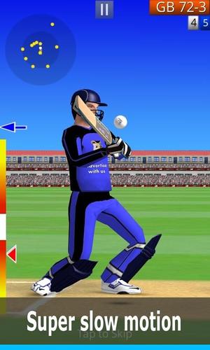 Smashing Cricket Zrzut ekranu 0