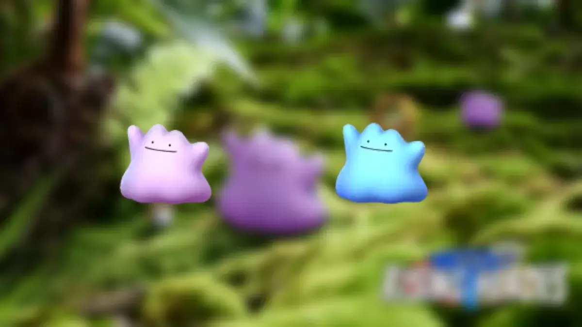 《Pokemon GO》中闪光百变怪与普通形态对比