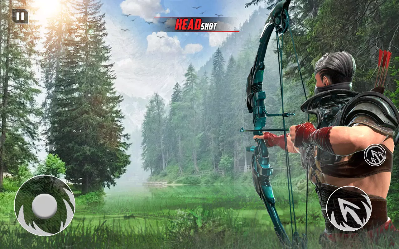 Archery Bow Hunt Shooting V2 스크린샷 0