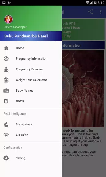 Pregnancy Guide স্ক্রিনশট 1