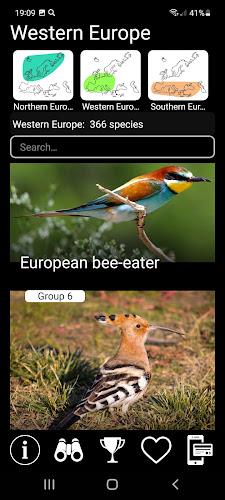 European Birds Songs & Calls Captura de tela 1