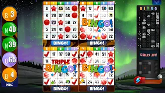 Absolute Bingo Ekran Görüntüsü 2