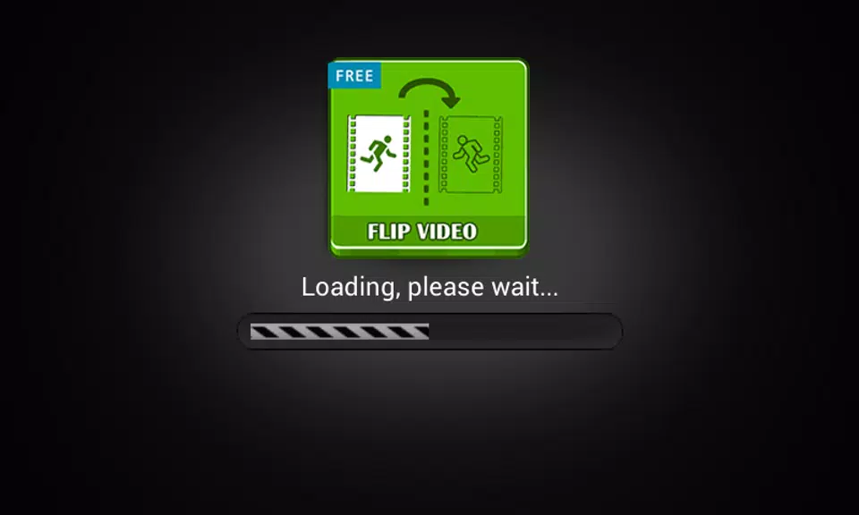 Flip Video FX Screenshot 2