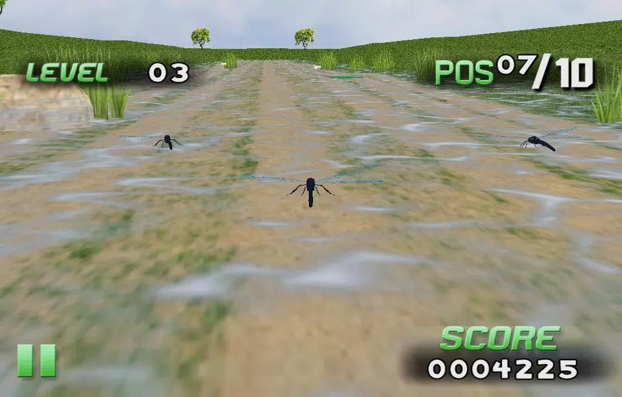 Insect Race 스크린샷 2