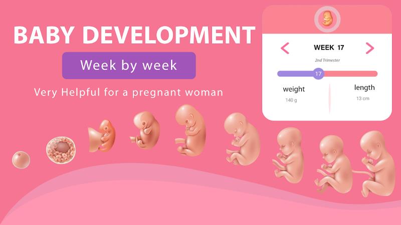 Pregnancy Weeks Tracker应用截图第1张