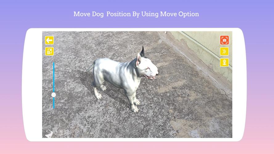 Dog play Ar應用截圖第1張