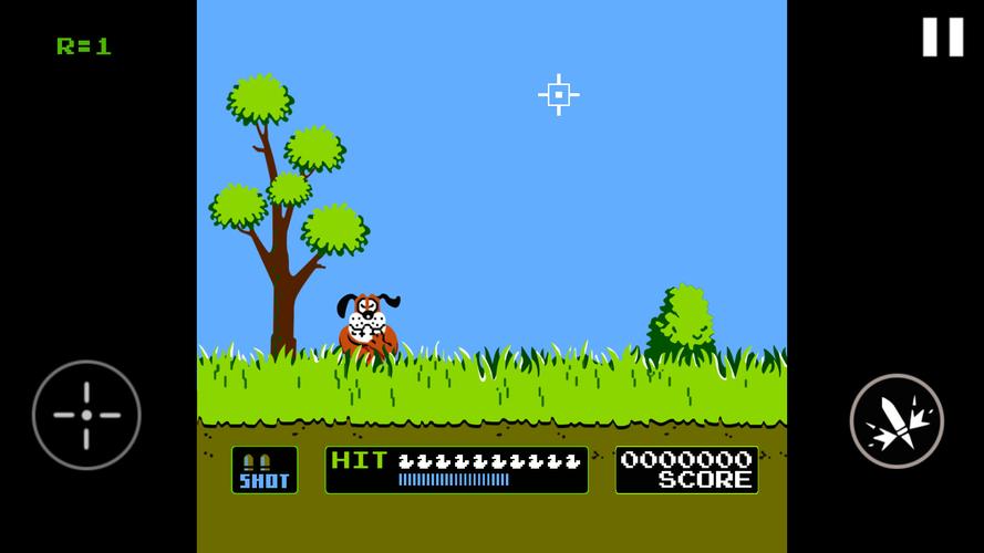 Schermata Duck Hunt 0