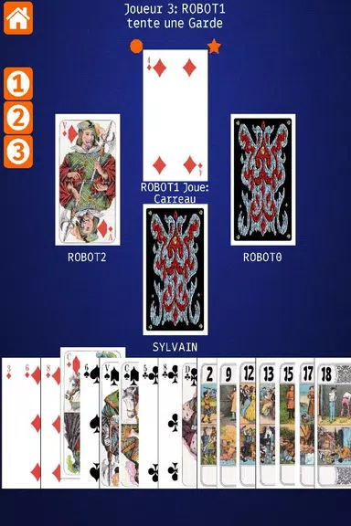 Net.Tarot Schermafbeelding 2