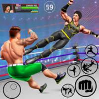 Tag Team Wrestling Game