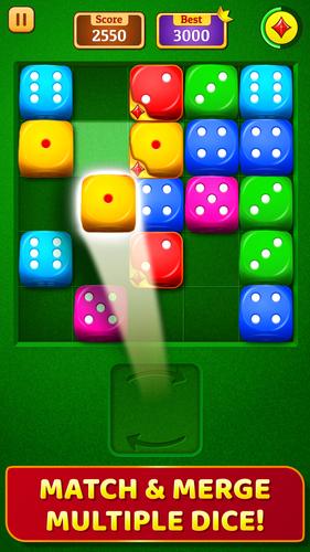 Dice Puzzle स्क्रीनशॉट 0