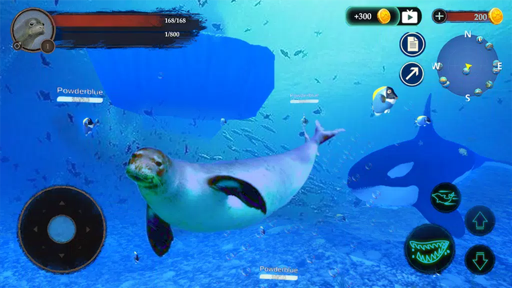 The Seal Screenshot 0