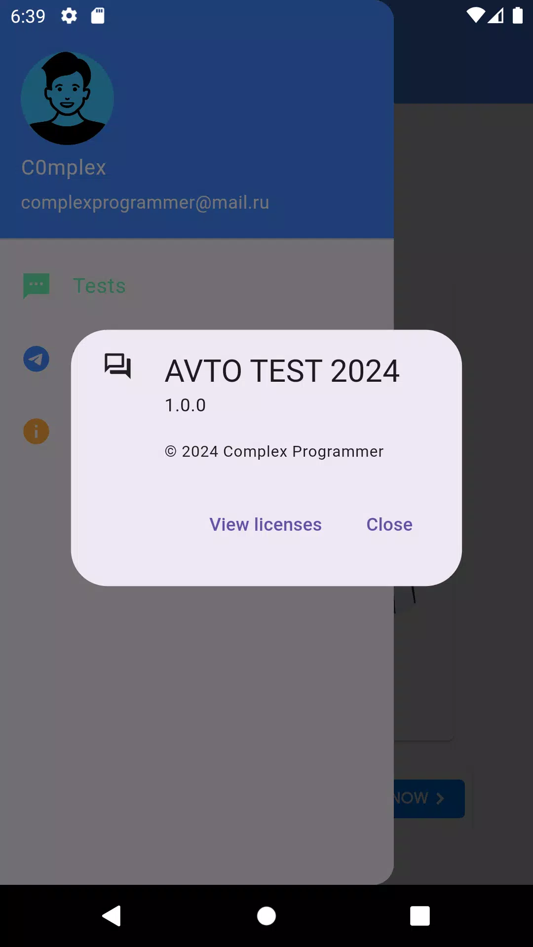 AVTO TEST 2024 Tangkapan skrin 2